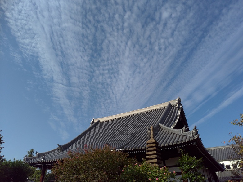 大阪で台風被害補修工事で寺社の屋根の葺き替え大規模修繕工事の完成写真